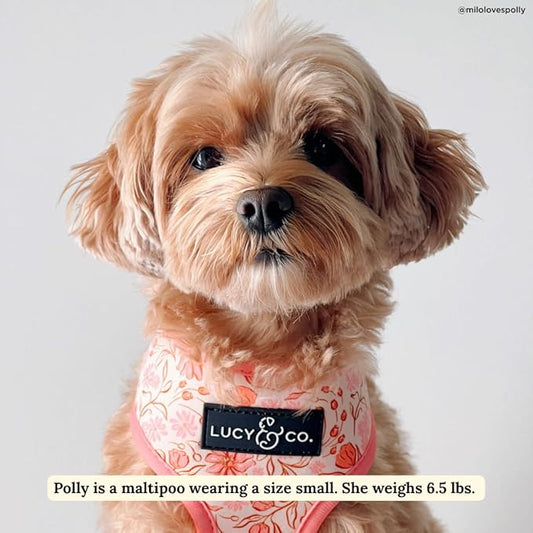 Lucy & Co. Cute Reversible Dog Harness Walking Halter - Best Designer Pet Harnesses for XS - XL Dogs - Padded Adjustable Vest for Easy Walking-X-Small-Peach Pink Floral Plaid