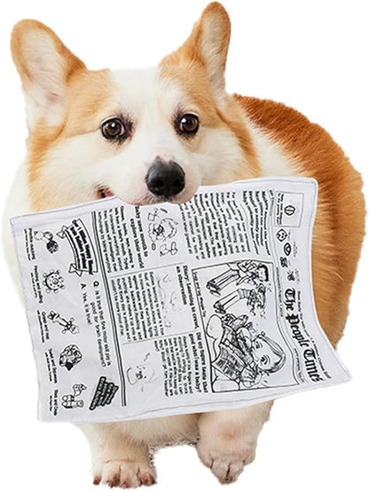 3 Pack Dog Squeaky Toys Crinkle Paper Dog Toys Non Shredding Washable Interactive Crinkly Newspaper No Stuffing Dog Chew Toy for Puppy Puppies Small Doggie Poodle Teddy Terrier Dogs Tearing