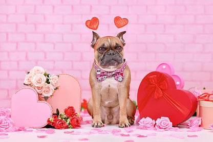 Valentine’s Day Dog Collar Adjustable Puppy Collar with Pink Heart and Flowers Pattern, Cute Pet Accessories for Small Medium Large Dogs