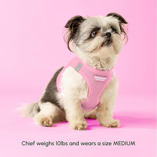 Downtown Pet Supply Step in Dog Harness for Small Dogs - Adjustable, Escape Proof Dog Harness with Reflective Trim - All-Weather, Fast-Drying Padded Mesh Fabric - Baby Pink, XS