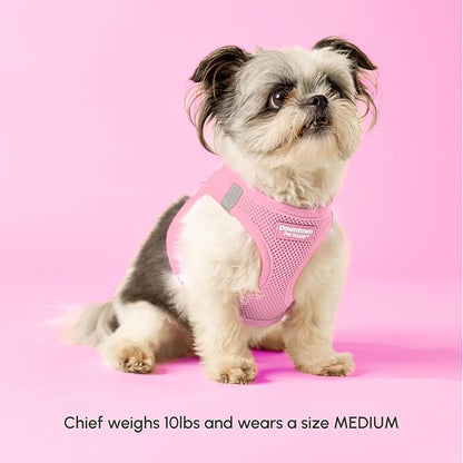 Downtown Pet Supply Step-in Dog Harness – No Pull, Adjustable Padded Mesh with Reflective Trim, Secure Buckle Strap – Comfortable & Breathable Small Dog Harness, Small, Baby Pink