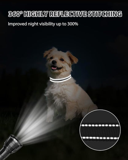 Joytale Small Dog Collar, Reflective and Adjustable Nylon Collar with Quick-Release Buckle, Lightweight No-Choke Design for Small Dogs, Black, 5/8" Width