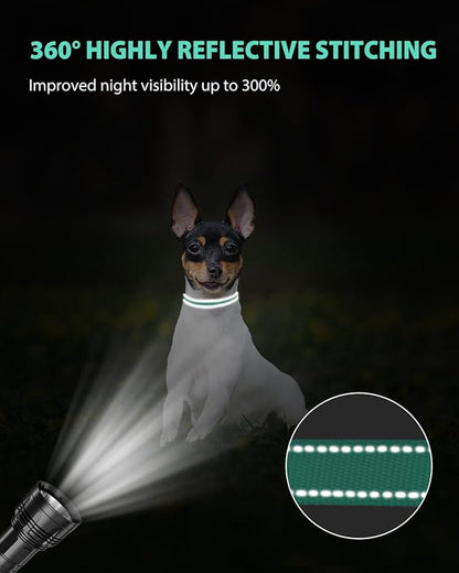 Joytale Small Dog Collar, Reflective and Adjustable Nylon Collar with Quick-Release Buckle, Lightweight No-Choke Design for Puppy and Extra Small Dogs, Teal, XS