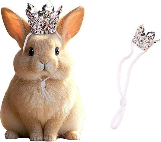1PCS Crown Tiara Headband for Cat Dogs Puppy Birds Ducks Chicken Rabbit Hamster Pets Party Birthday Grooming Hair Accessories(Silver, Elastic)