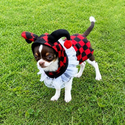 Court Jester Pet Halloween Costume with Hood - Small to Medium-Large Breed Funny Clothes Outfit Apparel (Large) - Image 5