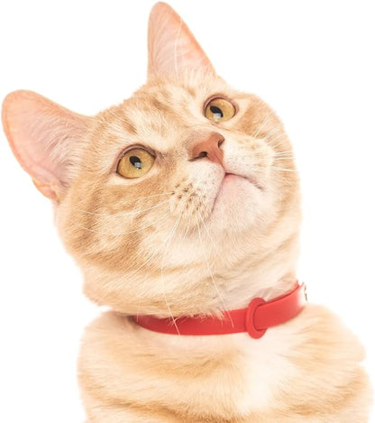 5 Pack Breakaway Cat Collar - Soft, Comfortable, and Lightweight Safety Buckle Collar with ID Tag Ring for Outdoor Cats and Kittens by Nuvuq (6 ⅞" to 10 ¼", Red, Orange, Pink, Blue and Black)