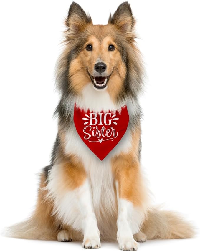 Big Sister Dog Bandana, Pet Dogs Pregnancy Announcement, Red Dog Bandana, Pet Bandanas for Small Medium Large Dogs (M)