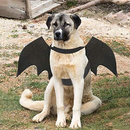 Rypet Dog Bat Wings Costume XL, Dog Bat Costume for Halloween Cosplay Party - Image 5