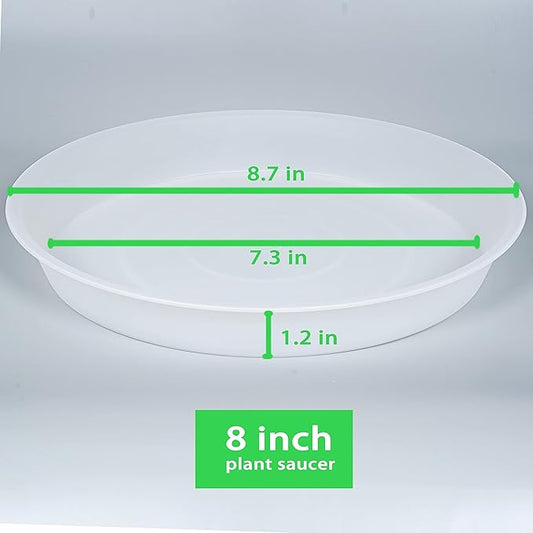 6 Pack of 8 inch Plant Saucer Clear, Heavy Duty Plastic Plant Water Tray 8 inch Round, Flower Plant Saucers for Indoors No Holes, Plant Dishes Saucer for Planter 7"/8" (8", Clear)