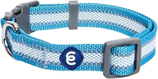 Blueberry Pet Essentials Matching Small Dog Collar | Adjustable Classic Solid Color Nylon Dog Collars for Small Dogs | Reflective Sky Blue Dog Collar for Small Dogs