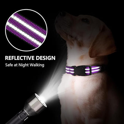 Martingale Dog Collar, Adjustable Nylon Reflective Collar with Quick Release Buckle (Real Purple, Large)