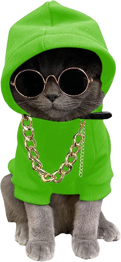 QWINEE 3Pcs Dog Hoodie Cat Apparel Dog Custume Set with Necklace and Sunglasses Pet Clothes for Puppy Small Medium Dogs Cats Green Small