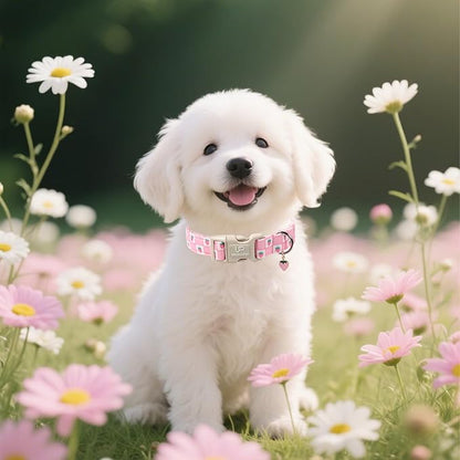 Spring Dog Collar, UP URARA PUP Strawberry Collars in Pink Checkered Adjustable Pet Collar with Quick Release, Daily Dog Accessories for Small Medium Large Dogs