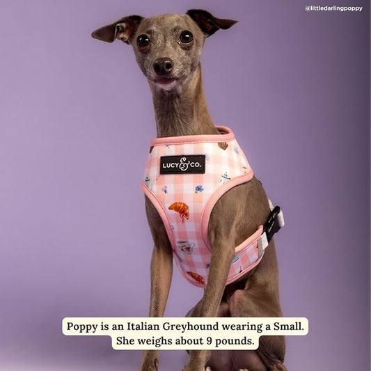 Lucy & Co. Sipping Slowly Reversible Dog Harness, Adjustable Comfort Fit with Dual Leash Attachments, X-Large