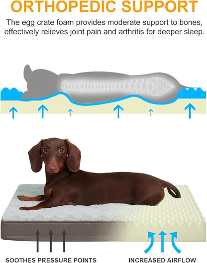 KSIIA Orthopedic Dog Bed, Egg Crate Foam Pet Mat with Removable Cover, Plush Waterproof & Washable Small Dogs Bed, 17x12 Inch, Gray