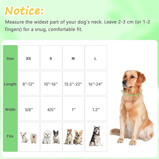 Easter Dog Collar for Large Dogs, Easter & Spring Theme Large Dog Collar with Cute Chick Hatching Pattern, Adjustable Easter Dog Collars Girl Boy Collar for Dogs -L