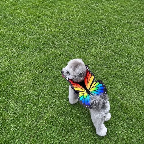 Butterfly Pet Halloween Costume with Wings - Small to Medium-Large Breed Funny Clothes Outfit Apparel (Large) - Image 4