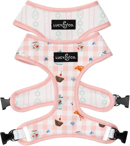 Lucy & Co. Sipping Slowly Reversible Dog Harness, Adjustable Comfort Fit with Dual Leash Attachments, Large
