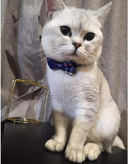 Cat Collar Breakaway with Bell and Bow Tie, Plaid Design Adjustable Safety Kitty Kitten Collars(6.8-10.8in) (Blue Plaid 1)