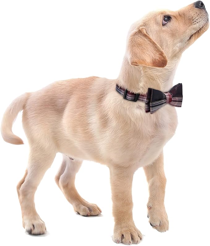 Faleela Soft &Comfy Bowtie Dog Collar,Detachable and Adjustable Bow Tie Collar,for Small Medium Large Pet (Red and White, Medium (Pack of 1))