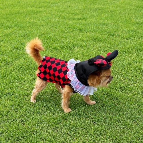 Court Jester Pet Halloween Costume with Hood - Small to Medium-Large Breed Funny Clothes Outfit Apparel (Small) - Image 6