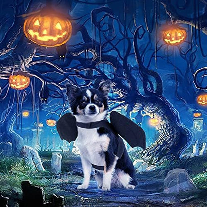 Rypet Dog Halloween Costume, Halloween Bat Wings for Dogs Cats, Medium - Image 5