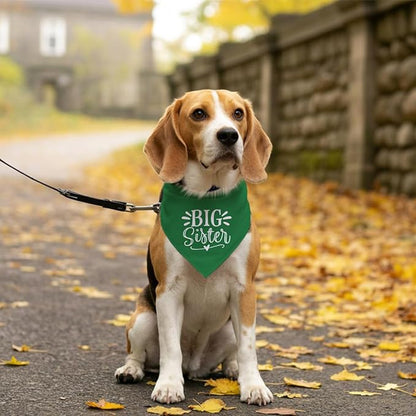 Big Sister Dog Bandana, Green, Triangle, 25 x 17 Inches, Flannel, Comfortable, Water Resistant, Geometric Pattern, Baby Shower, Unisex, Medium Dog Size, V-Neck, Machine Washable
