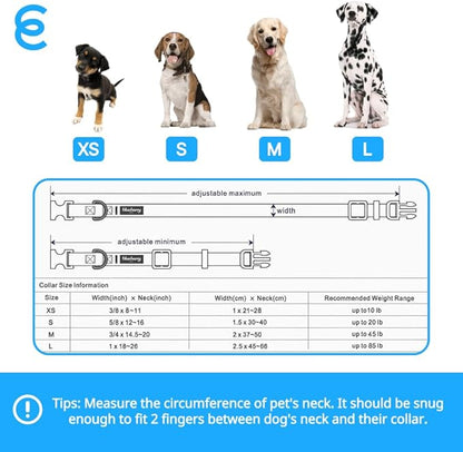 Blueberry Pet Essentials Matching Large Dog Collar | Adjustable Classic Solid Color Nylon Dog Collars for Large Dogs | Reflective Sky Blue Dog Collar for Large Dogs