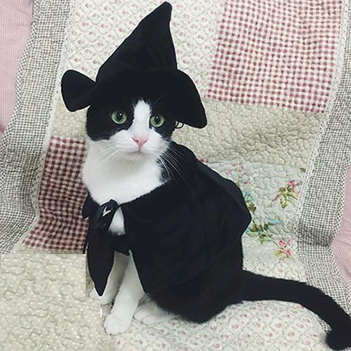 Cute Hooded Cloak Witch/Wizard Halloween Holiday Costume for Small Dogs & Cat Kitten, Cat Halloween Costumes by Lanyarco