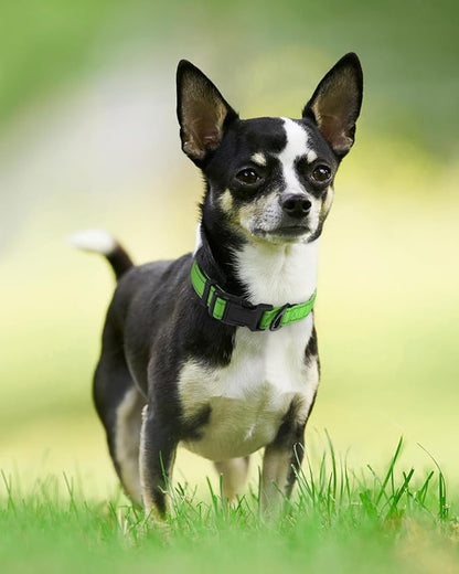 Joytale Reflective Dog Collar, Soft Neoprene Padded, Metal D-Ring, Nylon Pet Collar Adjustable for Puppy and Small Dogs, Green, XS