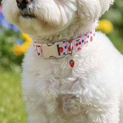Girl Dog Collar, Cute Dog Collar for Medium Dogs with Cute Strawberry, Cherry and Blueberry Print, Pink Collar for Dogs with Quick-Release Buckle and Robust D Ring, M