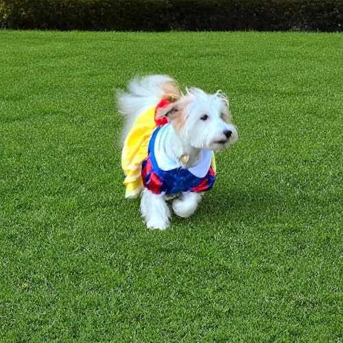 Classic Fairy Tale Princess Pet Halloween Costume, and Bow Headband - Small to Medium-Large Breed Funny Clothes Outfit Apparel (Medium) - Image 5