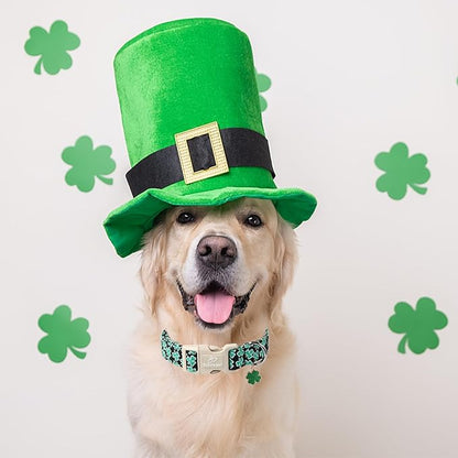St Patricks Day Dog Collar for Large Dogs - Green Lucky Shamrock Boy Dog Collars, Irish Clover Pattern Black Male Puppy Collar with Quick Release Buckle L