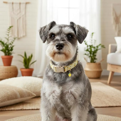 Dog Collar, Spring Summer Dog Collar with Yellow Lemon and Cute Charm, Pet Collar with Quick Release Buckle and Durable Fabric, Suitable for Medium Dogs