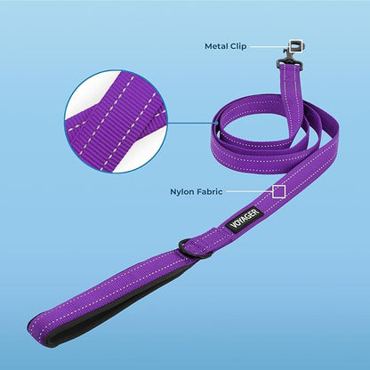 Best Pet Supplies Voyager Reflective Dog Leash or Collar with Neoprene Handle, for Small, Medium, and Large Breed Puppies, Cute and Heavy Duty for Walking, Running and Training - Purple Leash, L