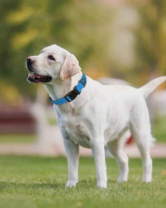 Joytale Large Dog Collar, Reflective and Adjustable Nylon Pet Collar with Quick-Release Buckle for Extra Large Dogs, Sky Blue, XL