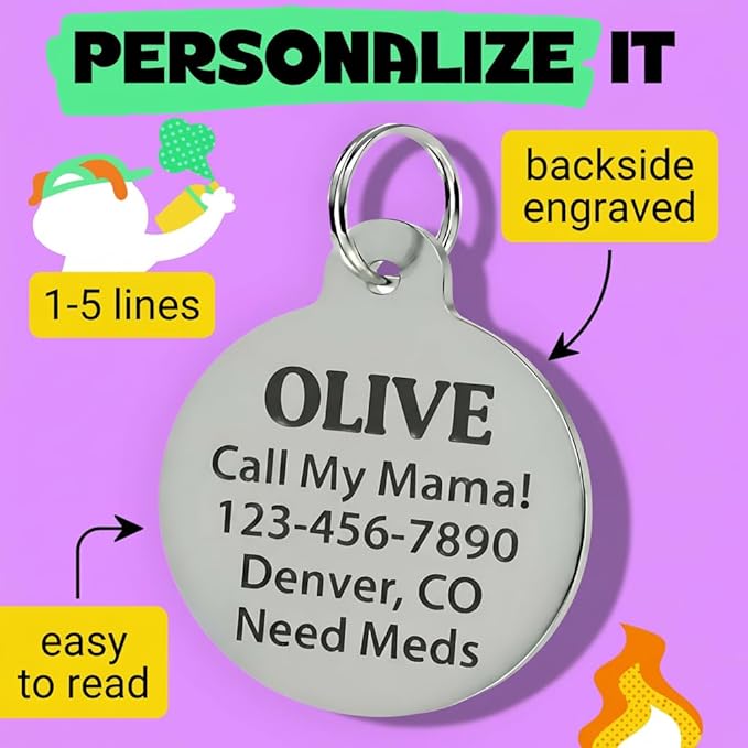 Bad Tags Personalized Dog and Cat ID Tags in 25+ Designs and 2 Sizes - 5 Lines of Custom Engraved Text - Funny Cute Personalized Pet Tags (I'm The Reason We Can't Have Nice Things, Large (1.25 inch))