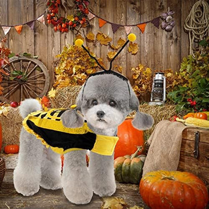 Bee Bumblebee Dog Halloween Costumes for Small Medium Dogs with Cap Bee Dog Clothes Outfit Pet Costumes for Christmas Halloween Decorations - Image 2