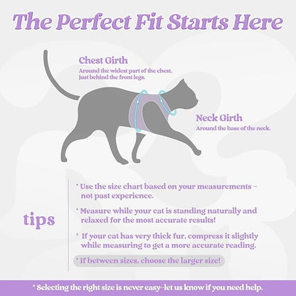 rabbitgoo Cat Harness and Leash Set for Walking Escape Proof, Adjustable Soft Kittens Vest with Reflective Strip for Cats, Comfortable Outdoor Vest, Light Purple, S