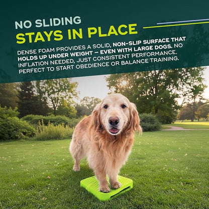 FitPAWS Balance Ramp | Dog Agility Equipment for Balancing, Obedience Training, and Sensory Stimulation