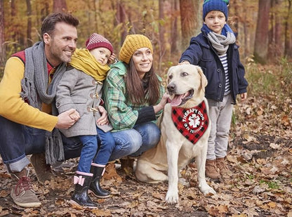 Dog Bandana, Therapy Dog Please Pet Me with, Dogs Scarf Classical Printing, Dogs Scarf Accessories, Doggy Kerchief Pet Kerchief, Christmas Birthday Thanksgiving Doggy Gift A05