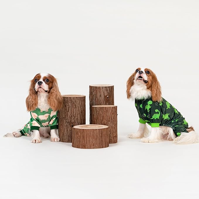 Fitwarm Funny Sheep Dog Pajamas, Warm Winter Dog Clothes for Small Dogs Boy Girl, Cozy Pet Onesie with Feet, Green, White, XS