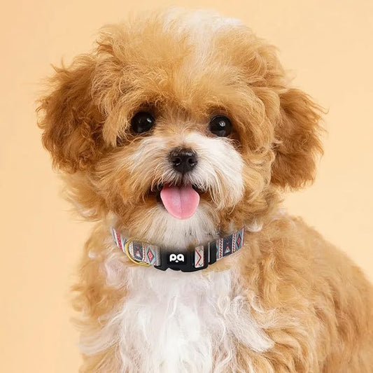 QQPETS Adjustable Soft Dog Collar: Print Flower Pink Multicolor Cute Patterns for XS Small Medium Large Pet Girl Boy Puppy Walking Running Training