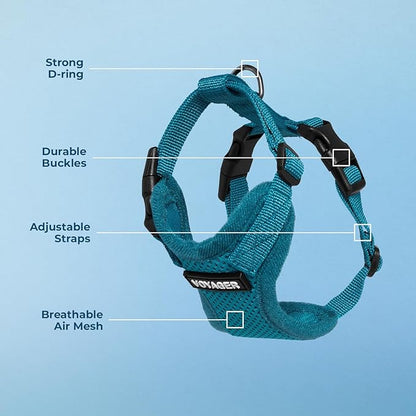 Voyager Step-in Pet Harness - All Weather Mesh, Adjustable Step in Harness for Cats and Dogs by Best Pet Supplies - Turquoise, XS