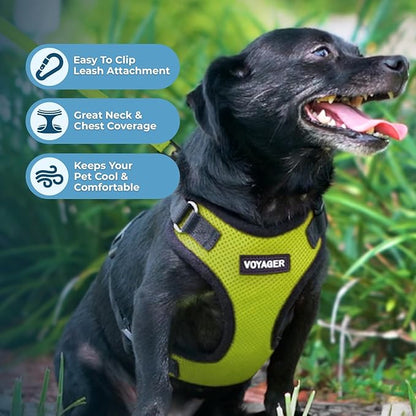 Voyager Step-in Pet Harness - All Weather Mesh, Adjustable Step in Harness for Cats and Dogs by Best Pet Supplies - Lime Green/Black Trim, S