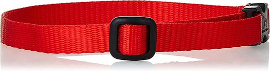 LupinePet Basics 1/2" Red 10-16" Adjustable Collar for Small Dogs