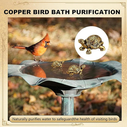 4 Pcs Mini Copper Bath Disk Ornaments Brass Bird Bath Purification Disks Birdbath Cleaner Single 0.6 oz Weight Universal Fit for Outdoor Birdbaths, Bowl(Turtle)