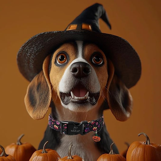 Halloween Dog Collar Spooky Fun Pumpkin Puppy Collar - Light Comfortable Adjustable Pet Collars for Small Medium Large Girl Boy Dogs M