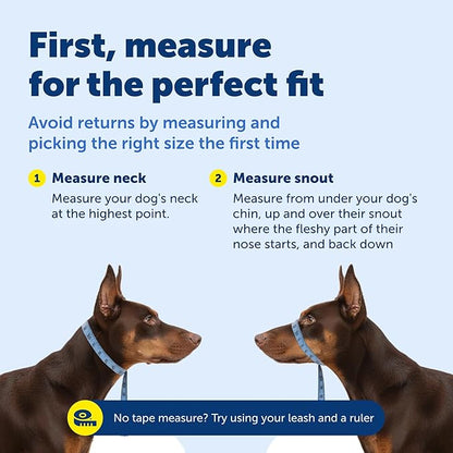 PetSafe Gentle Leader Headcollar No-Pull Dog Collar - Helps Improve Walks - Durable Nylon Construction - Padded Nose Loop - Adjustable Fit - Comfort Walking Halter - Petite, Black