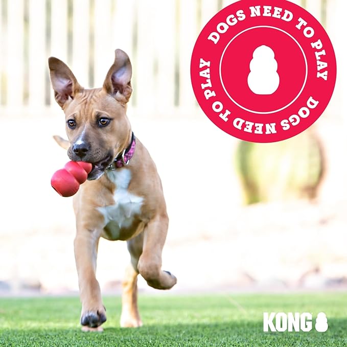 KONG - Puppy Toy Natural Teething Rubber - Fun to Chew, Chase and Fetch - for Small Puppies - Pink